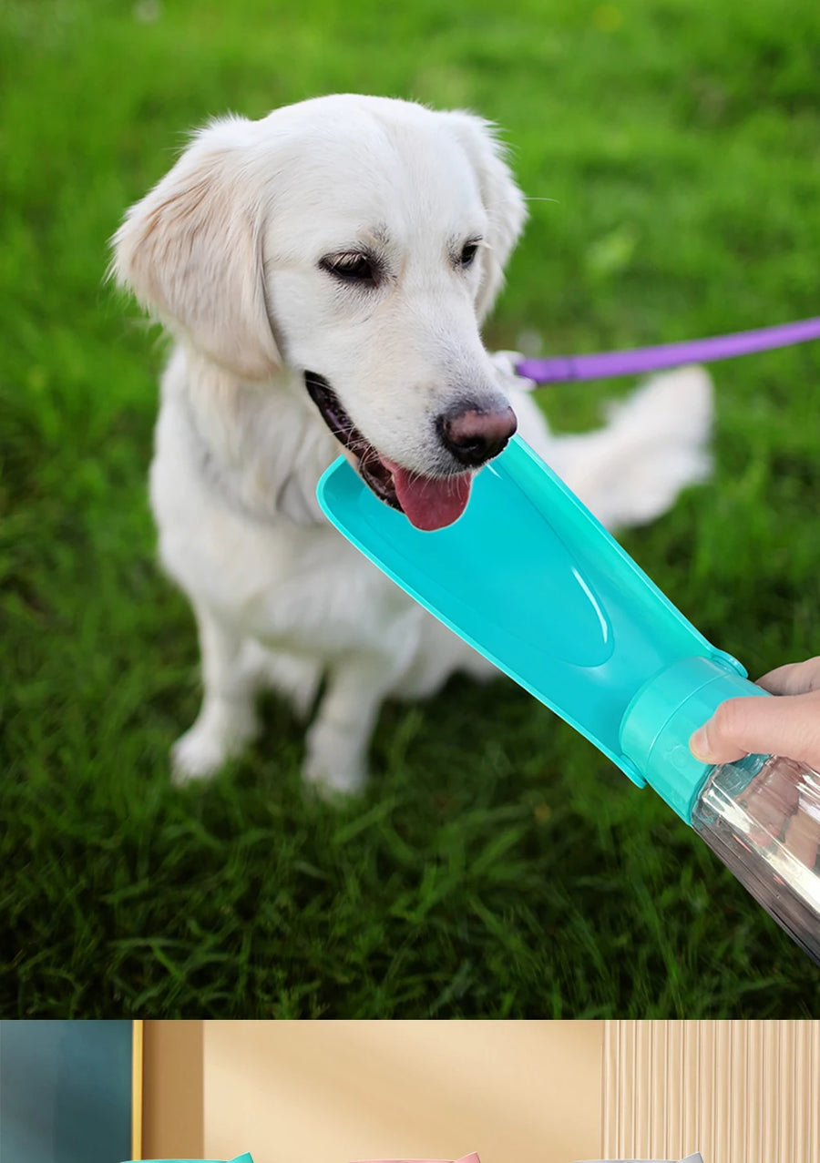 Foldable Portable Water Bottle Dispenser For Small or Large Dogs