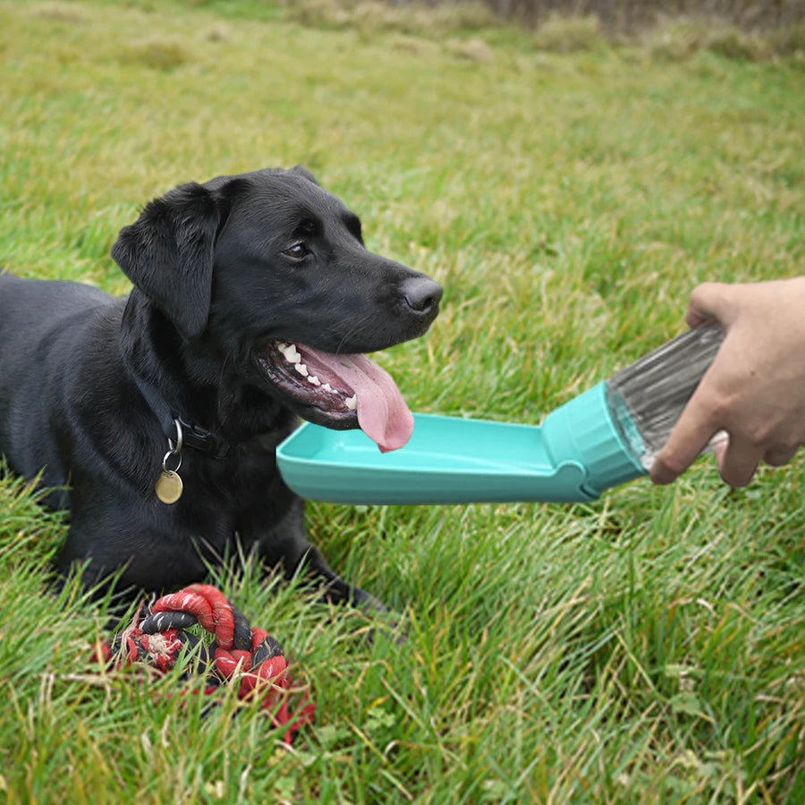 Foldable Portable Water Bottle Dispenser For Small or Large Dogs