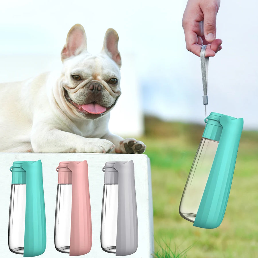 Foldable Portable Water Bottle Dispenser For Small or Large Dogs