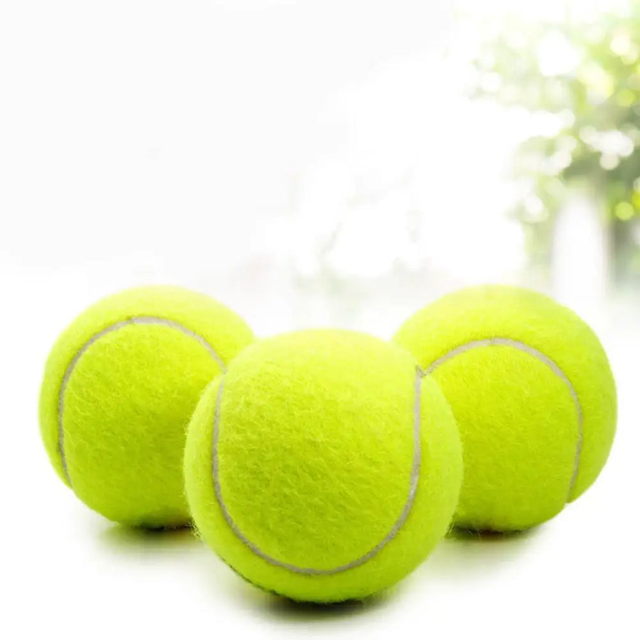 3pcs Tennis Balls