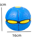 Flying Saucer Ball Dog Toy with LED Light