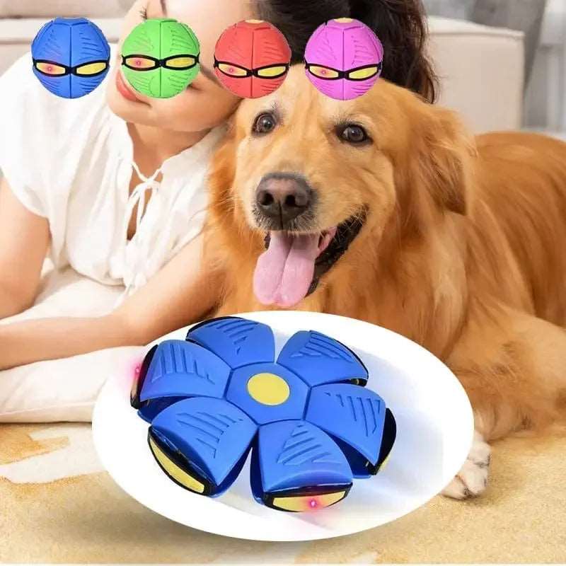 Dog Toys Flying UFO Saucer Ball Interactive