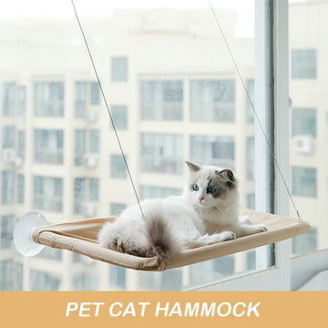 Pet Cat Hammock Climbing on Frame Sunny Window